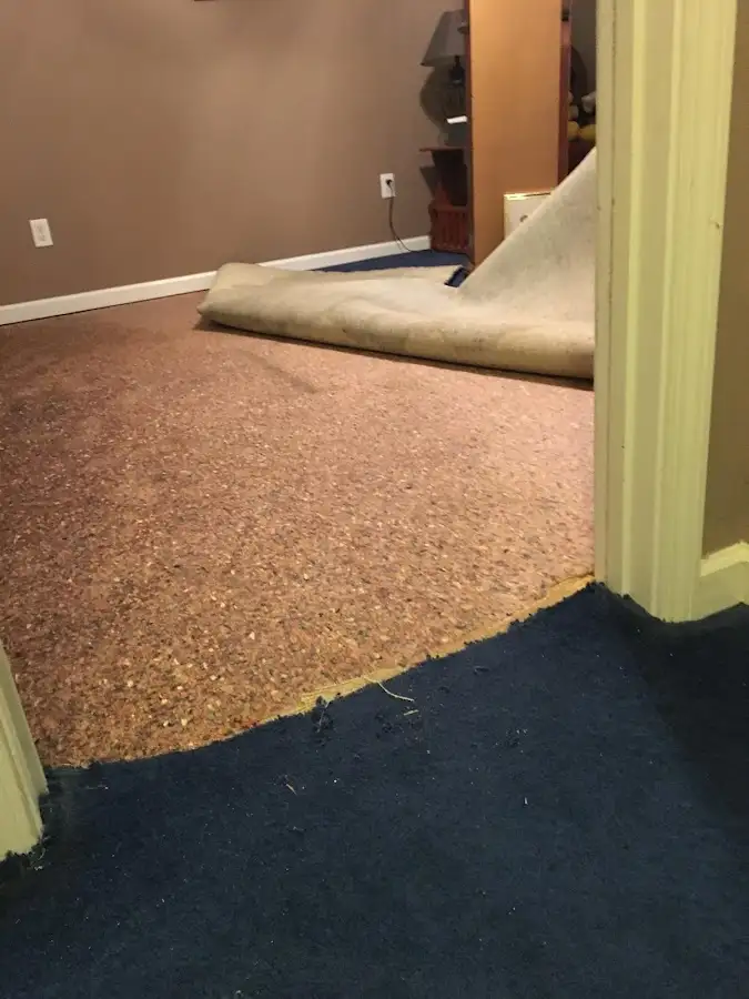 Carpet pad removal revealing water damage during Water Mitigation Services in Island Lake