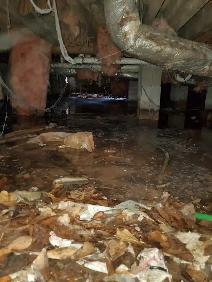 Crawl space flood assessment for Leak Detection & Repair in Island Lake